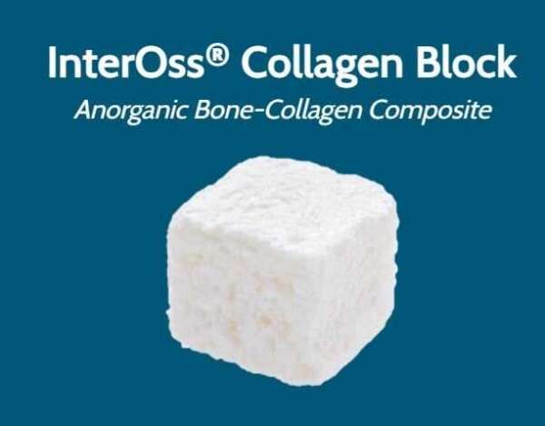 InterOss Collagen Block