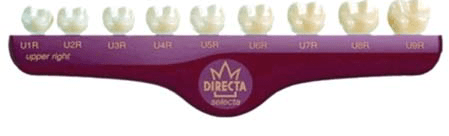 Molar Polycarbonate Temporary Crowns - Directa